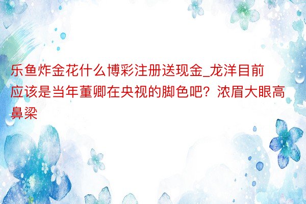 乐鱼炸金花什么博彩注册送现金_龙洋目前应该是当年董卿在央视的脚色吧？浓眉大眼高鼻梁