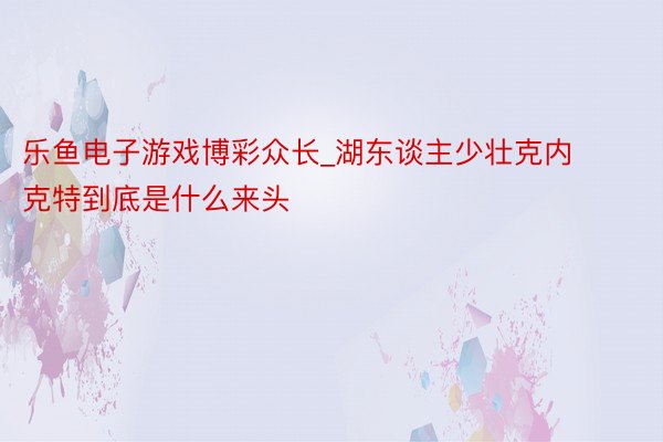 乐鱼电子游戏博彩众长_湖东谈主少壮克内克特到底是什么来头