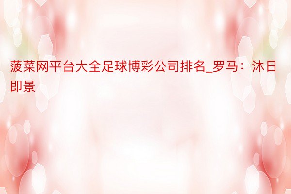 菠菜网平台大全足球博彩公司排名_罗马：沐日即景