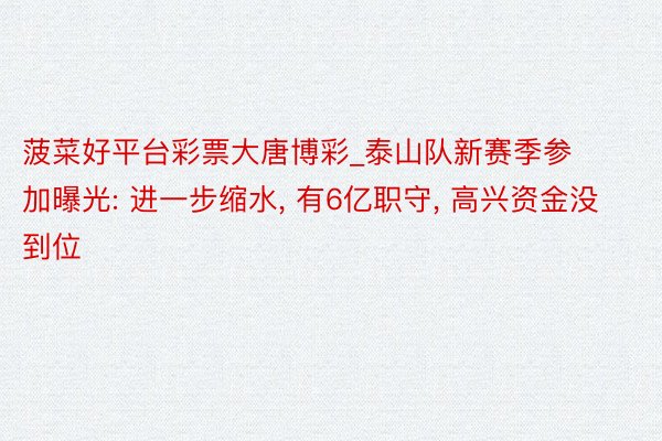 菠菜好平台彩票大唐博彩_泰山队新赛季参加曝光: 进一步缩水, 有6亿职守, 高兴资金没到位